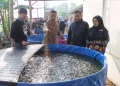 Kapolres Kediri Kota Panen Lele dan Sayuran, Tingkatkan Ketahanan Pangan dari Pekarangan Polsek
