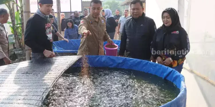 Kapolres Kediri Kota Panen Lele dan Sayuran, Tingkatkan Ketahanan Pangan dari Pekarangan Polsek