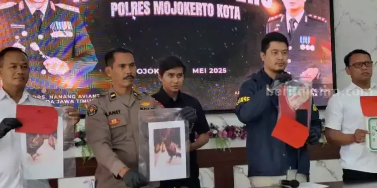 Polres Mojokerto Kota Gerebek Dua Arena Sabung Ayam dan Amankan Lima Pelaku