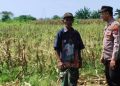 Polsek Tarik Sidoarjo Tingkatkan Patroli untuk Ketahanan Pangan di Perkebunan Jagung