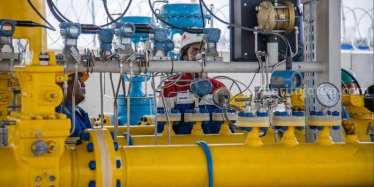PGN Siap Bagikan Dividen Rp 182 Per Saham, Investor Berpeluang Dapatkan Yield 10%