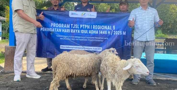 PTPN I Regional 5 Salurkan Hewan Kurban untuk Sinergi dengan Masyarakat Lima Kabupaten