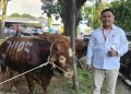 Salurkan Puluhan Hewan Kurban Lewat Program CSR ke Masyarakat Gresik