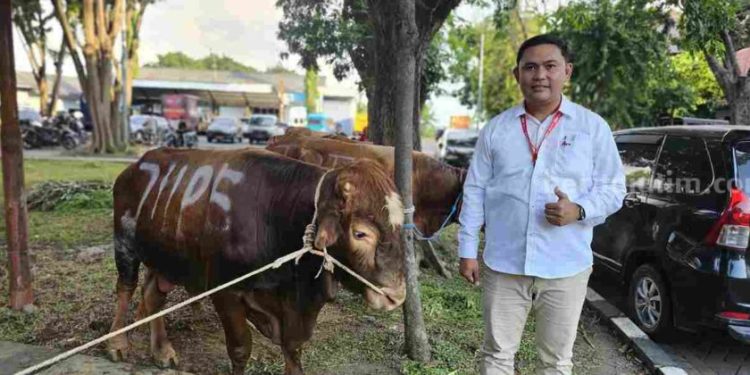 Salurkan Puluhan Hewan Kurban Lewat Program CSR ke Masyarakat Gresik