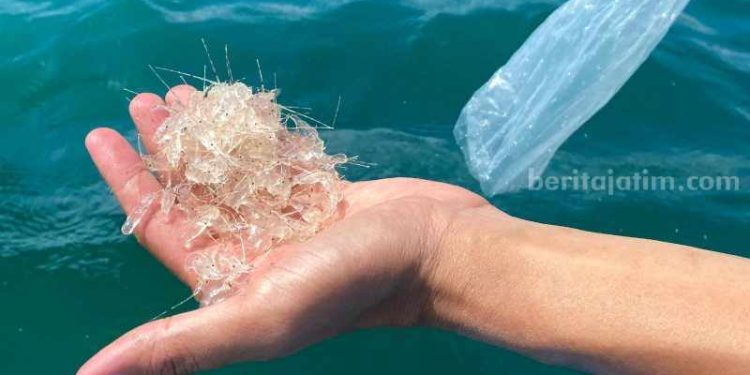 Benur Hilang, Nelayan Pacitan Terkena Dampak Harga Anjlok dan Cuaca Buruk