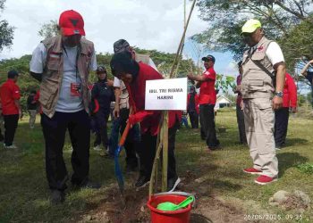 Bulan Bung Karno Risma dan Baguna PDIP Ajak Hijaukan Blitar dan Distribusi Kursi Roda