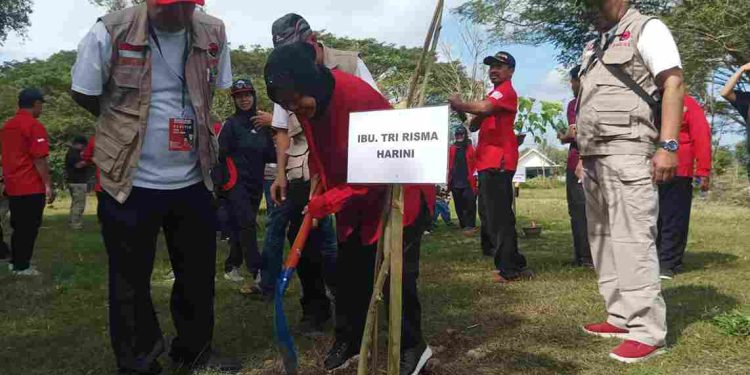 Bulan Bung Karno Risma dan Baguna PDIP Ajak Hijaukan Blitar dan Distribusi Kursi Roda