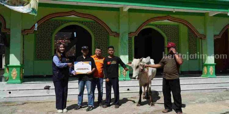 Kepedulian Sosial, Pembagian Puluhan Hewan Kurban di Area Perusahaan