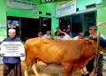 Penyaluran Hewan Kurban di 18 Pesantren Terkenal di Jawa Timur