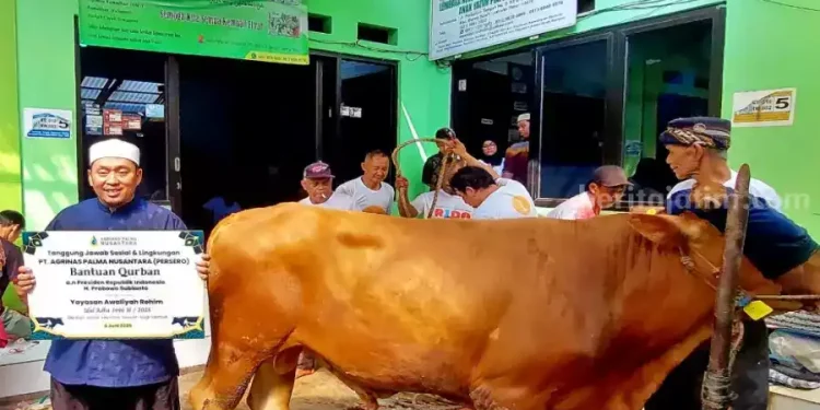 Penyaluran Hewan Kurban di 18 Pesantren Terkenal di Jawa Timur