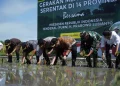 Kolaborasi Pemkab Kediri dan DKI Jakarta Bangkitkan Semangat Petani Tanam Padi Saat Harga Gabah Naik
