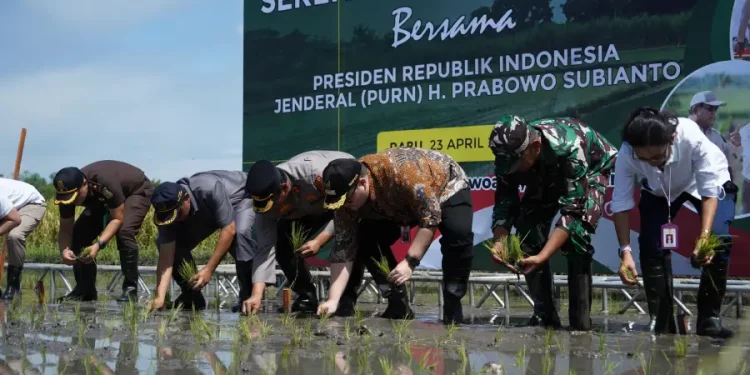 Kolaborasi Pemkab Kediri dan DKI Jakarta Bangkitkan Semangat Petani Tanam Padi Saat Harga Gabah Naik