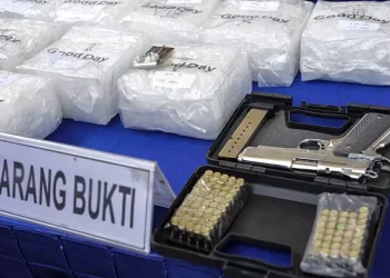 BNN Tidak Mau Tangkap Artis Pengguna Narkoba Hera Lubis Soroti Rakyat Jelata Terdampak