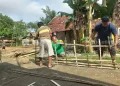 Cuaca Tak Menentu Membuat Petani Sampang Enggan Menanam Tembakau