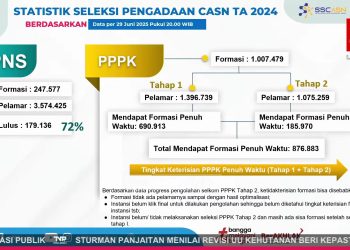 Banyak Kuota Formasi CPNS dan PPPK Tahun 2024 yang Belum Terisi