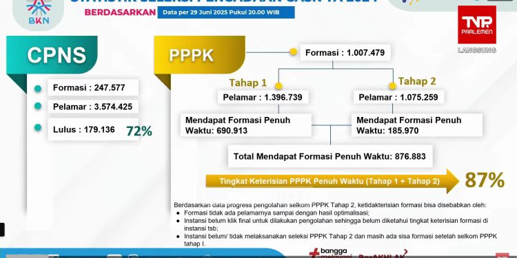 Banyak Kuota Formasi CPNS dan PPPK Tahun 2024 yang Belum Terisi