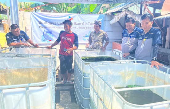 Budidaya Ikan Lele Sebagai Solusi Ketahanan Pangan dan Pemberdayaan Masyarakat