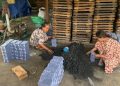 Inovasi Eco-Briket dari Limbah Organik Dorong Ekonomi Sirkular di Tuban
