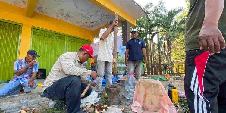 Belajar Membuat Pestisida Nabati untuk Menghemat Uang