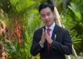 Gibran Mendapat Tugas Khusus di Papua, Dandhy Laksono Peringati Bahaya Perampasan Tanah Adat