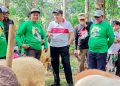 Festival Domba Pasuruan 2025 Tingkatkan Minat Beternak Masyarakat