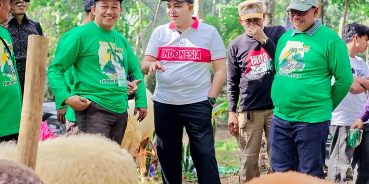 Festival Domba Pasuruan 2025 Tingkatkan Minat Beternak Masyarakat
