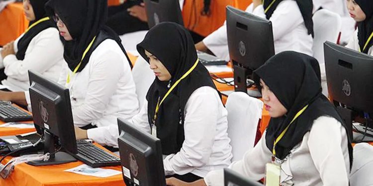 Nasib Honorer TMS CPNS dan PPPK 2024 Begini Penjelasan Terbaru