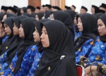 Apakah PPPK Paruh Waktu Diizinkan Menggunakan Seragam KORPRI Selain Dapat NIP?
