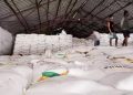 12 Ribu Ton Gula Menumpuk di Bondowoso, Petani Kehilangan Rp89,8 Miliar karena Lelang Gagal