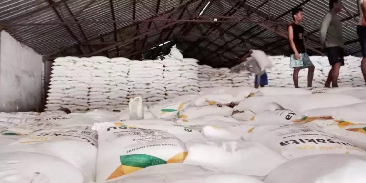 12 Ribu Ton Gula Menumpuk di Bondowoso, Petani Kehilangan Rp89,8 Miliar karena Lelang Gagal