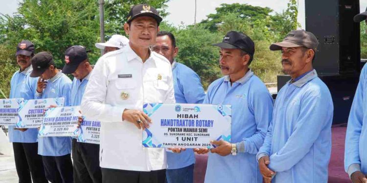 Diversifikasi Pertanian Lamongan Melakukan Panen Raya Bawang Merah di Sukorame