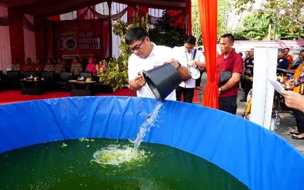 80 Desa di Gresik Kompak Budidaya Lele dengan Pendampingan dari Pihak Terkait