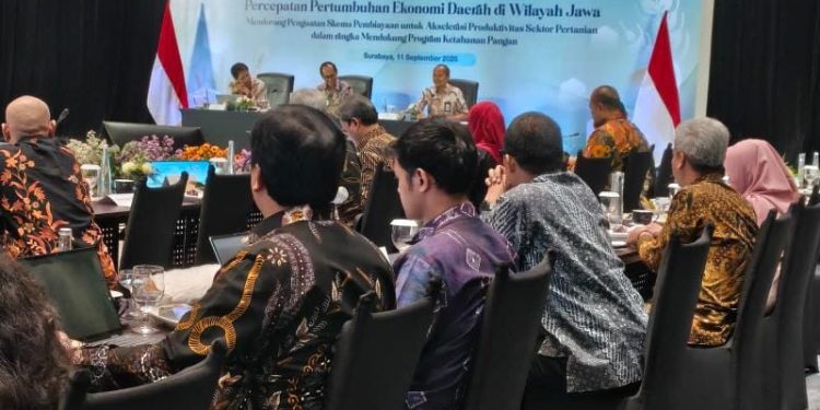 Perlindungan Lahan dan Akses Pembiayaan Kunci Ketahanan Pangan Nasional