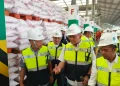 Distribusi Pupuk Bersubsidi dengan Harga Diskon 20 Persen di Indonesia