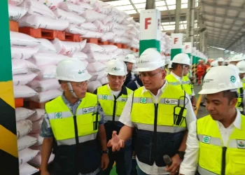 Distribusi Pupuk Bersubsidi dengan Harga Diskon 20 Persen di Indonesia