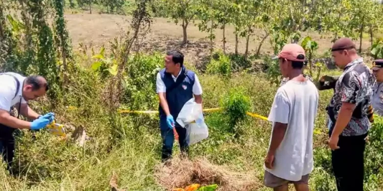 Buru Pelaku Pembuangan Bayi di Hutan Malo Bojonegoro, Polisi Cek RS dan Puskesmas