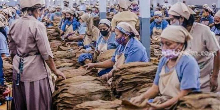 Kebijakan Cukai Menteri Keuangan Diterima dengan Positif oleh Pengusaha dan Petani