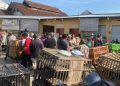 Pedagang Ayam Dipindahkan ke Pasar Induk Bondowoso, Jalan Veteran Menjadi Lebih Tertib