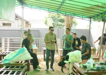 Masa Sulit Peternak Pacitan, Harga Kambing Turun, Biaya Pakan Meningkat