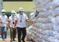 Stok Beras Jamin Aman 15 Bulan Siapkan 870 Ribu Ton Hadapi Nataru dan Lebaran