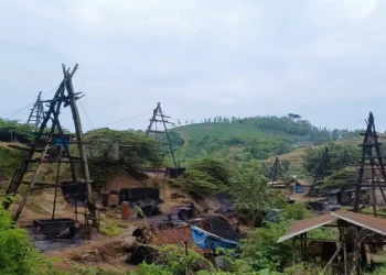 Bojonegoro Menuju UNESCO Global Geopark Melalui Tema Unik Petroleum System Terdangkal