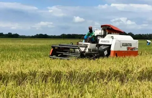 Petani Bojonegoro Harus Daftar AUTP untuk Melindungi Usaha Tani dari Risiko Gagal Panen