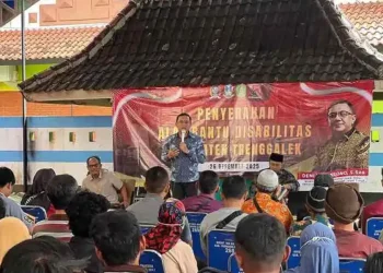 Wakil Ketua DPRD Jatim Serahkan 68 Alat Bantu untuk Penyandang Disabilitas di Trenggalek