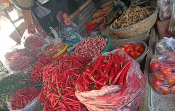Masa Panen Harga Cabai Sumenep Turun Signifikan