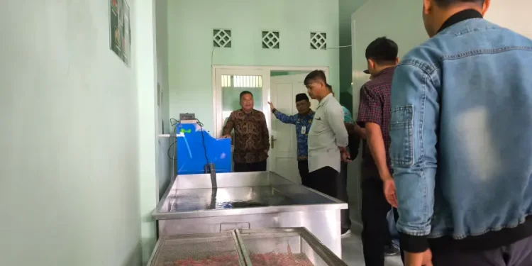 Sayur Awet Dua Bulan dengan Teknologi Ozonisasi untuk Jaga Harga Panen di Magetan