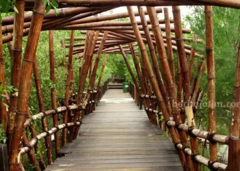 DPRD Surabaya Tantang Pemkot Mengembangkan Kawasan Mangrove sebagai Sumber PAD dan Ikon Kota