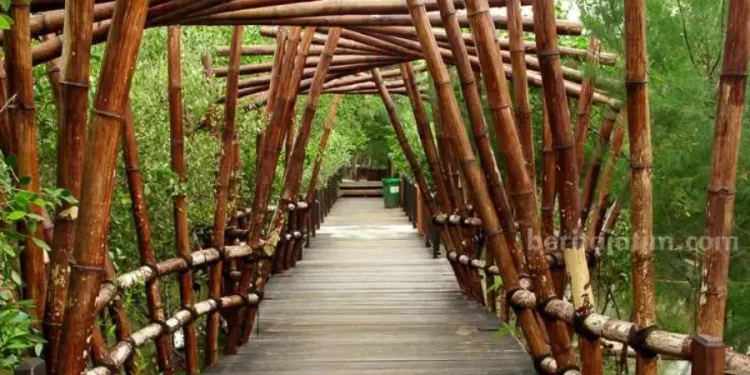 DPRD Surabaya Tantang Pemkot Mengembangkan Kawasan Mangrove sebagai Sumber PAD dan Ikon Kota