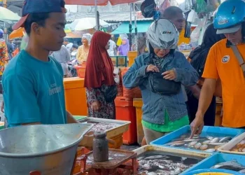 Cuaca Ekstrem, Harga Ikan di Pasar Pabean Surabaya Naik, Stok Menurun