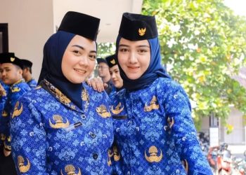 Perbedaan Jenjang Karir PNS, PPPK, dan PPPK Paruh Waktu yang Perlu Diketahui