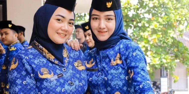 Perbedaan Jenjang Karir PNS, PPPK, dan PPPK Paruh Waktu yang Perlu Diketahui